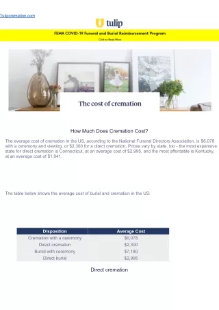 tulipcremation com