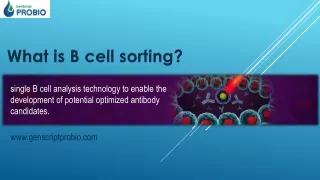 what is b cell sorting