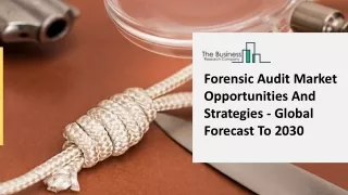 forensic audit market opportunities