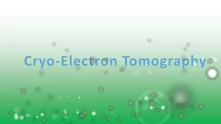 cryo electron tomography