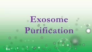 exosome purification