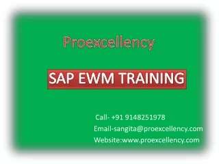 SAP EWM (4) (1)