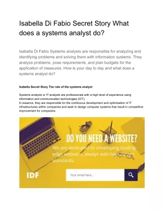 Isabella di fabio secret and story What does a systems analyst do?