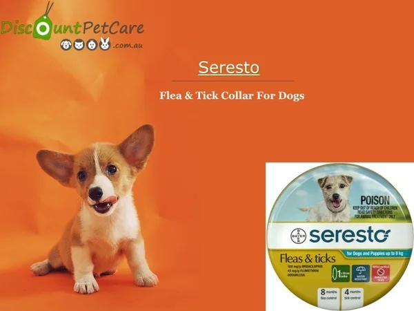 Buy Seresto Flea and Tick Collar For Dogs Online - DiscountPetCare