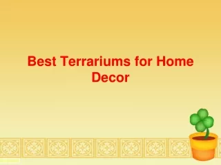 Best Terrariums for Home Decor by urbanborn store