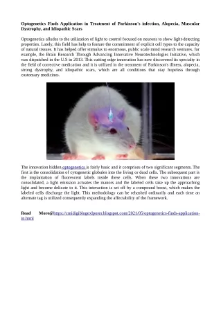 Optogenetics Finds Application in Treatment of Parkinson's infection, Alopecia,