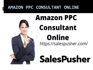 amazon ppc consultant online