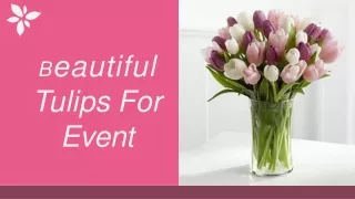 b eautiful tulips for event