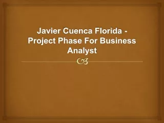 javier cuenca florida project phase for business analyst