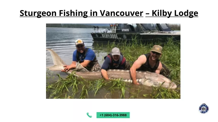 sturgeon fishing in vancouver kilby lodge