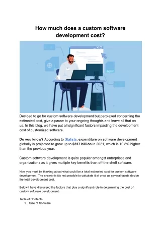 how much does a custom software development cost