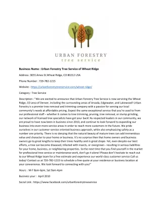 business name urban forestry tree service