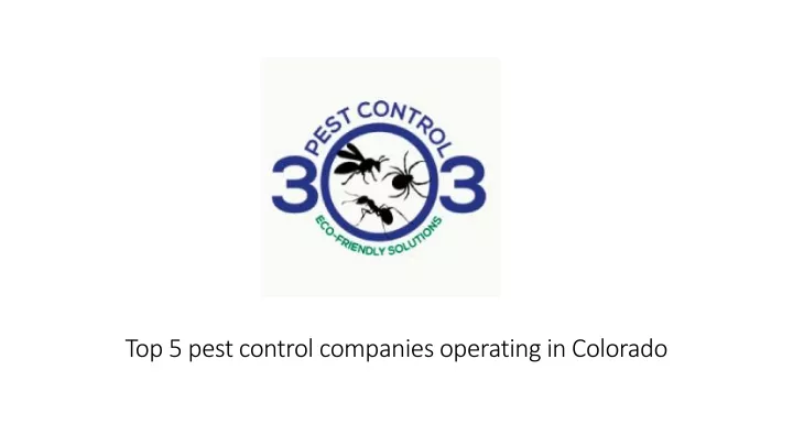 top 5 pest control companies operating in colorado