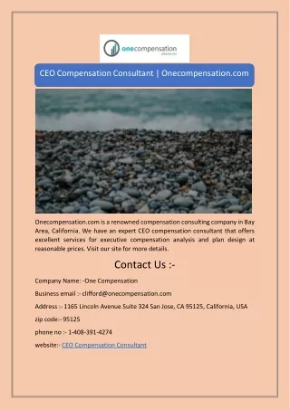 CEO Compensation Consultant | Onecompensation.com