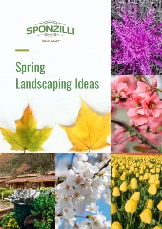 Spring Landscaping Ideas 2021