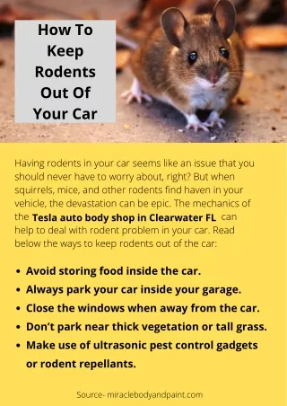 How To Keep Rodents Out Of Your Car