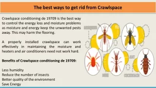 the best ways to get rid from crawlspace