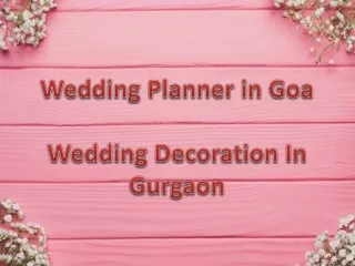 Wedding Planner in Udaipur | Theme Décor Planner In Gurgaon