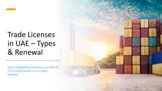 Trade Licenses in UAE – Types & Renewal
