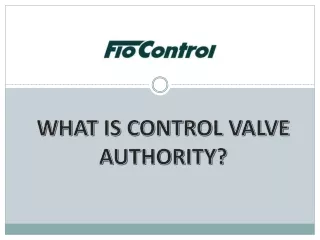 WHAT IS CONTROL VALVE AUTHORITY?