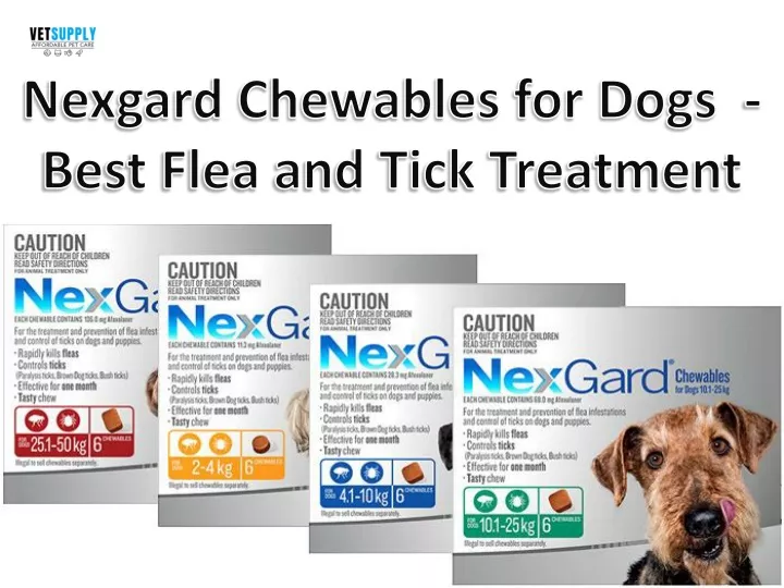 nexgard chewables for dogs best flea and tick