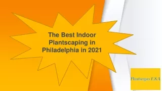 The Best Indoor Plantscaping in Philadelphia in 2021