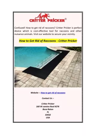 confused how to get rid of raccoons critter