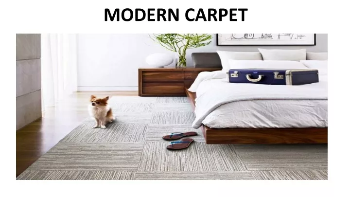 modern carpet