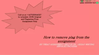 how to remove plag from the assignment
