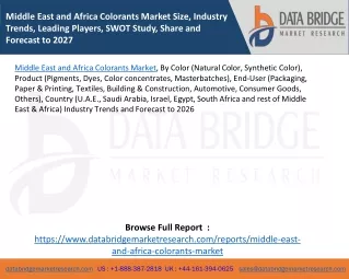 Middle East and Africa Colorants Market Size, Industry Trends, Leading Players, SWOT Study, Share and Forecast to 2027