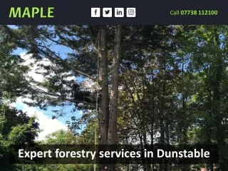 Expert forestry services in Dunstable