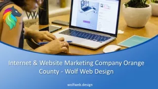 Internet & Website Marketing Company Orange County - Wolf Web Design