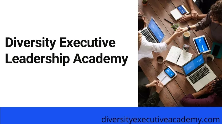 diversity executive leadership academy