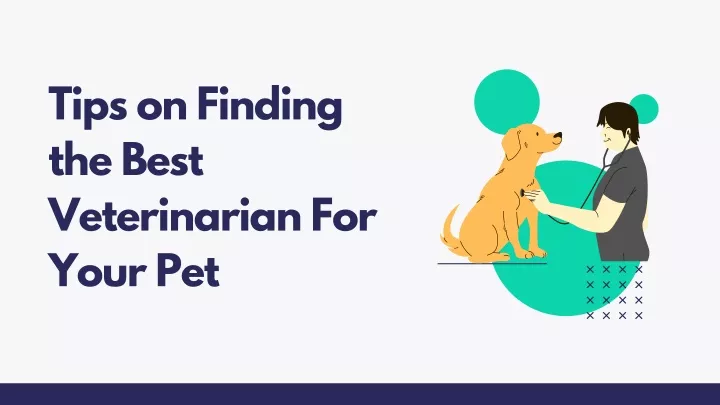 tips on finding the best veterinarian for your pet