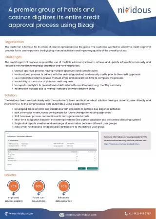 Credit Approval Process Automation using Bizagi Platform - Nividous