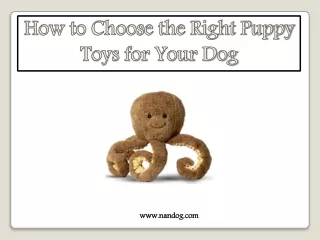 how to choose the right puppy toys for your dog