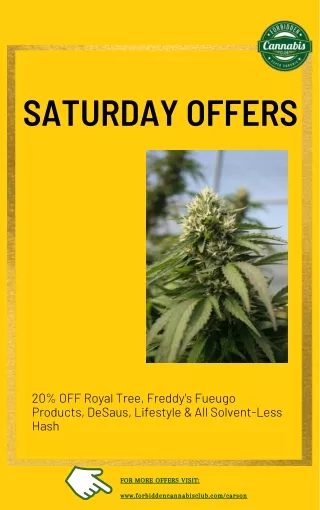 Saturday Offer, Recreational Marijuana Near Me Carson