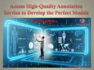Access High-Quality Annotation Service to Develop the Perfect Models