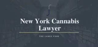 New York Cannabis Lawyer | The James Firm
