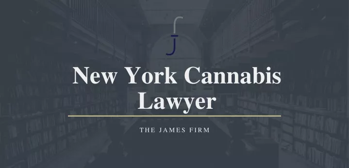 new york cannabis lawyer