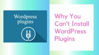 Why You Can’t Install Wordpress Plugins