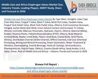 Middle East and Africa Diaphragm Valves Market Size, Industry Trends, Leading Players, SWOT Study, Share and Forecast to
