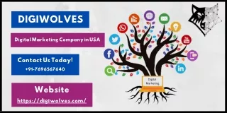 Digital Marketing Company in USA | Best SEO Company | Digiwolves