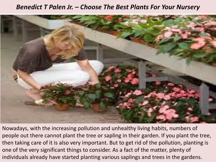 benedict t palen jr choose the best plants for your nursery