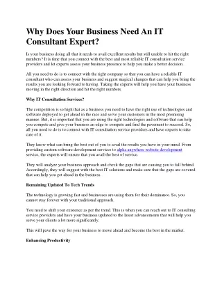 why does your business need an it consultant