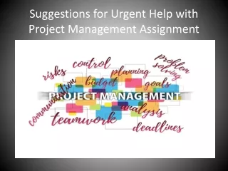 suggestions for urgent help with project management assignment