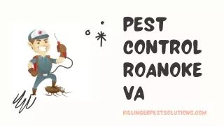 Best Pest Control Company In Roanoke VA