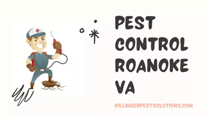 pest control roanoke va killingerpestsolutions com