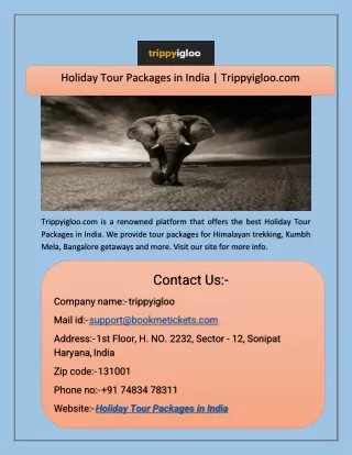 Holiday Tour Packages in India  Trippyigloo.com