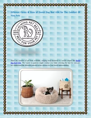 Different Forms & Sizes of Donut Dog Bed USA for The Comfort Of Your Pets